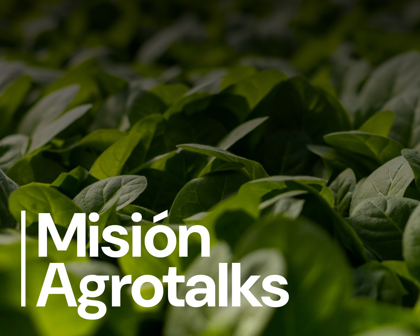 Misión Agrotalks