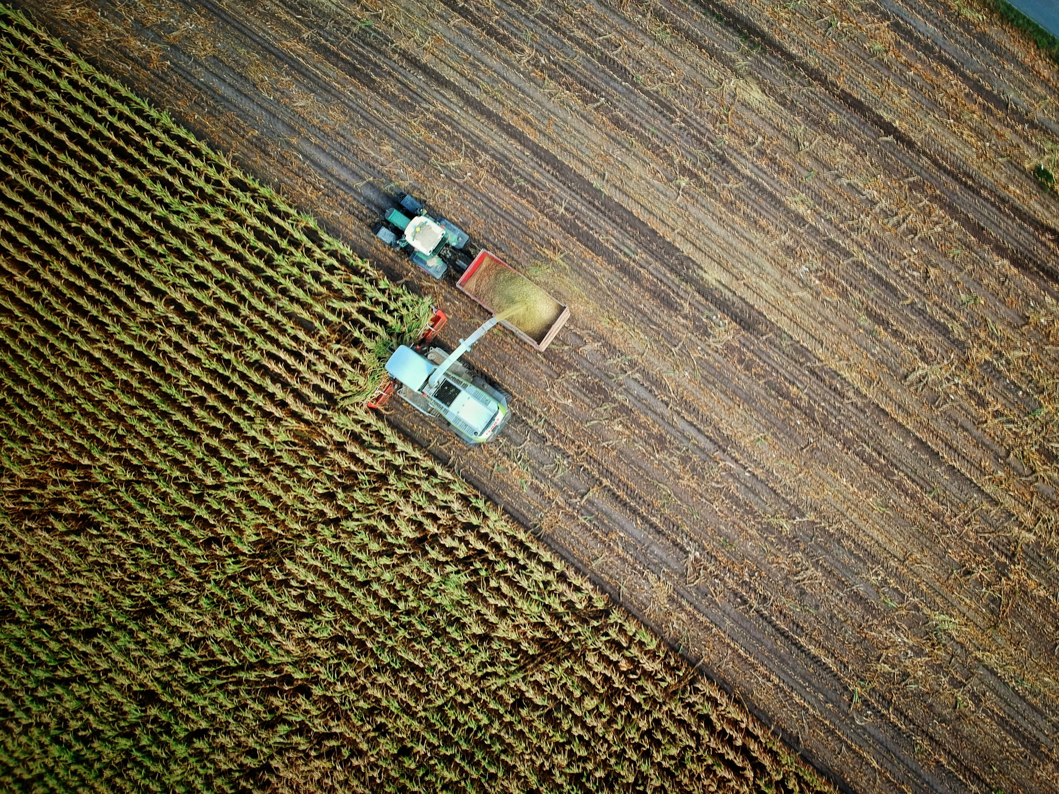 agritech